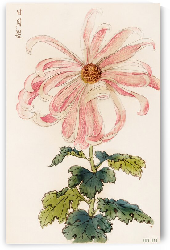Beautiful 1893 Japanese Art: Keika Hyakugiku  by Row One Brand
