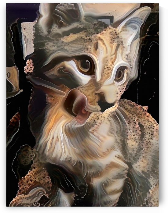 Cute Kitten by Bruce Rolff