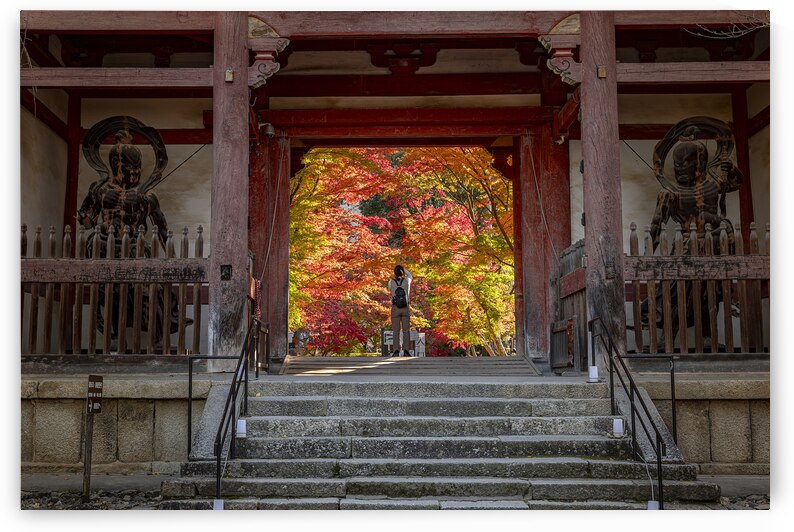 Tourist is taking pictures of a japanese gate by Gualtiero Boffi