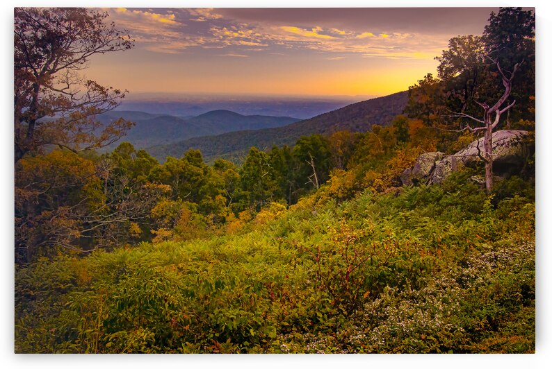 Blue Ridge Overlook in Autumn 1 by Norma Brandsberg Photography