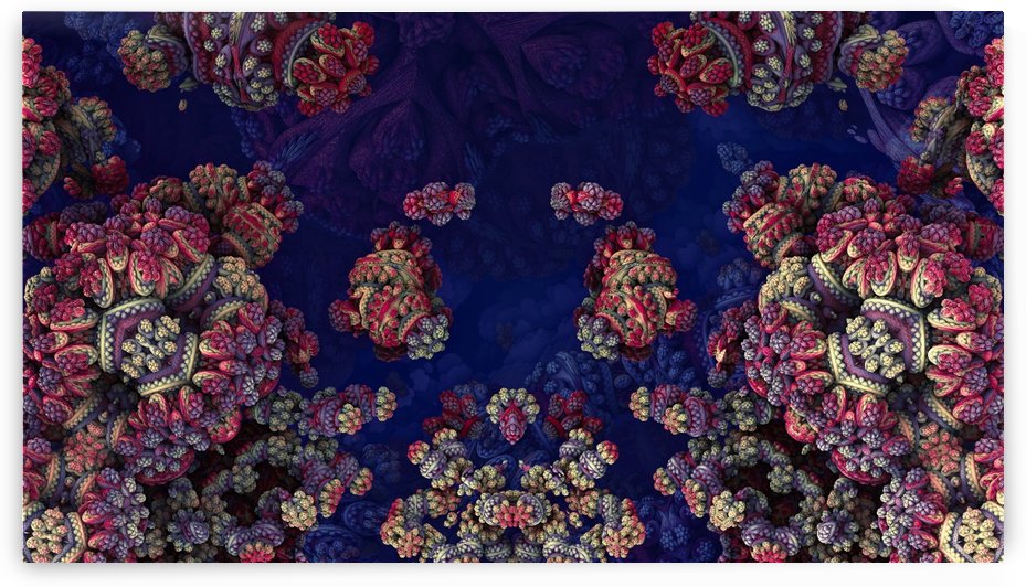 fractals 3d graphics designs by Shamudy