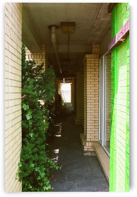 A Niagara Falls Alley by maniacvii