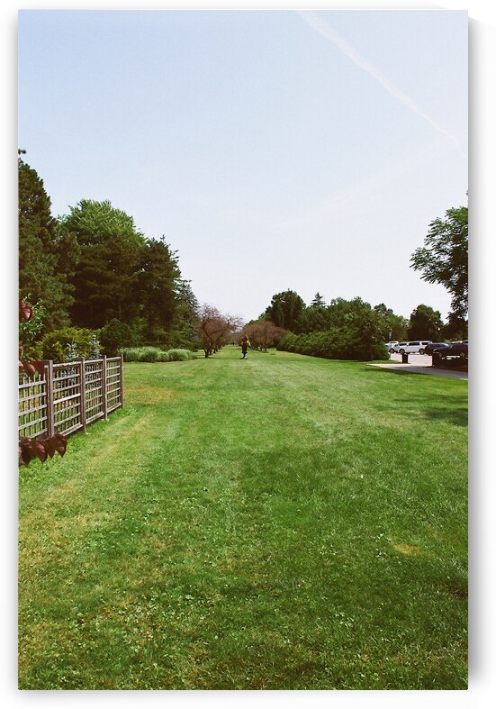 Outside the Botanical Gardens by maniacvii