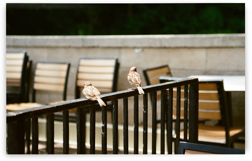 Lunch With Friends by maniacvii