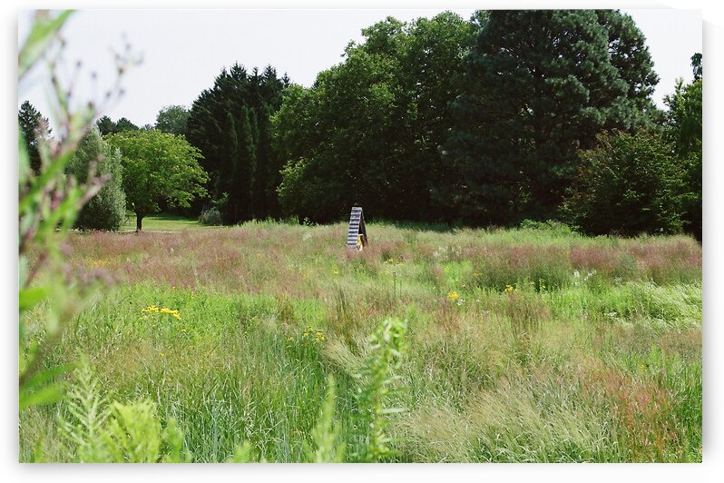 Butterfly House at the Butterfly Conservatory by maniacvii