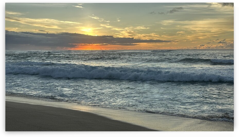 Hawaii Beach by SW Visual Art