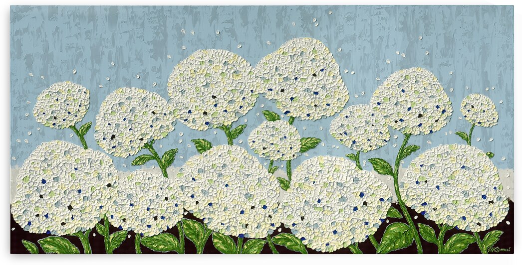 Hydrangeas by Barbara K Spraul