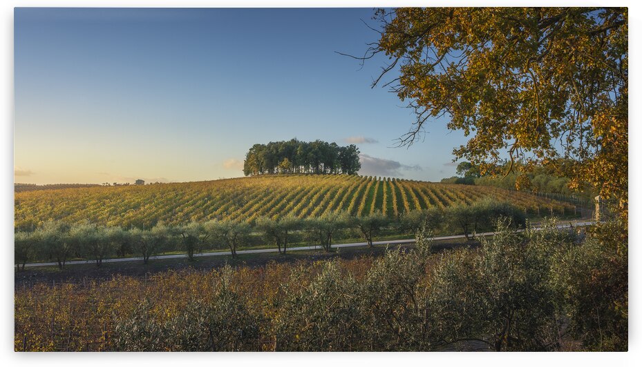 Autumn in Chianti region by Stefano Orazzini