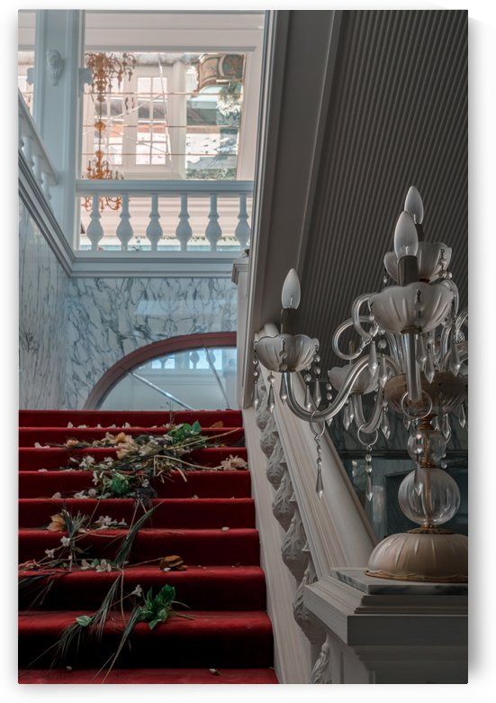 Abandoned Billionaires Mansion by Steve Ronin