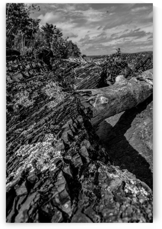 DSC00709 by Matt Naus