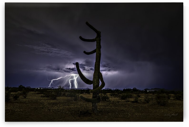 Desert Fury by Edward Mitchell