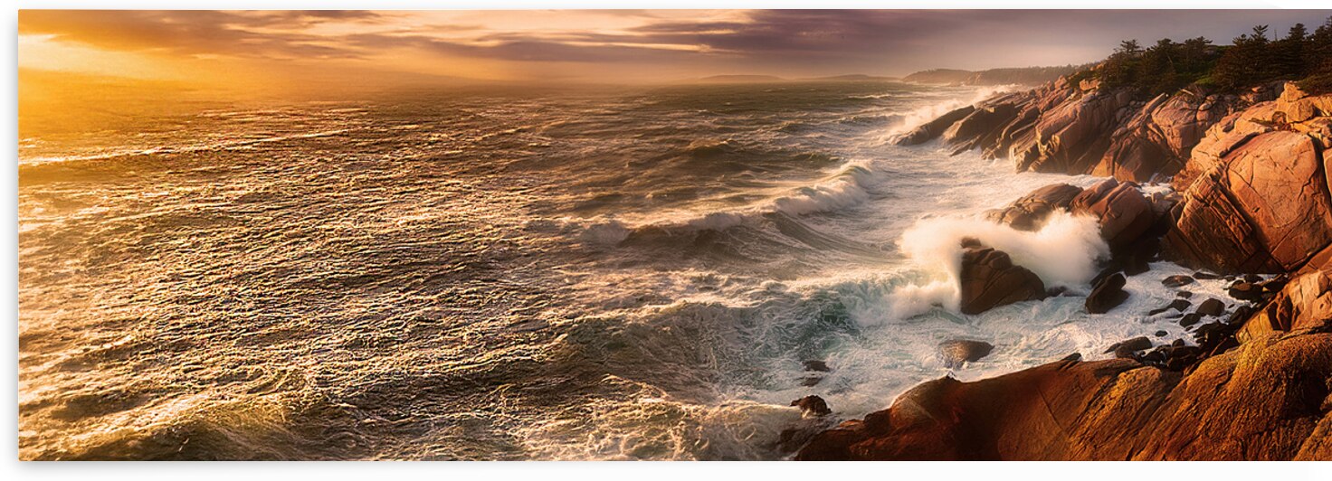 Atlantic Sunrise On The Maine Coast  by Frank Wilson