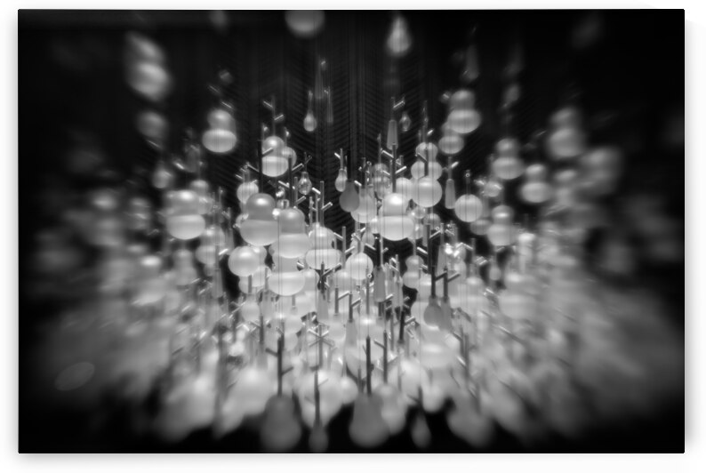 Light’s Luminous Dance in Black and White  by Kathleen Reed