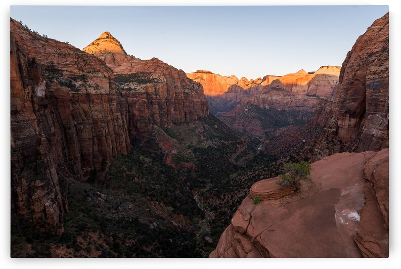 Zion National Park Sunrise by Andreas Wonisch