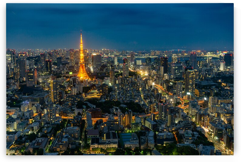 Tokyo Skyline at Night by Andreas Wonisch