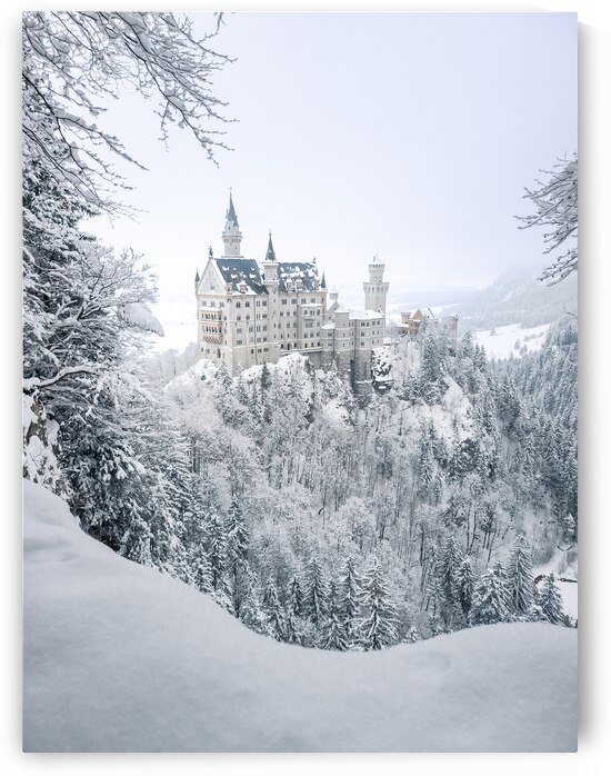 Neuschwanstein Castle in Winter by Andreas Wonisch