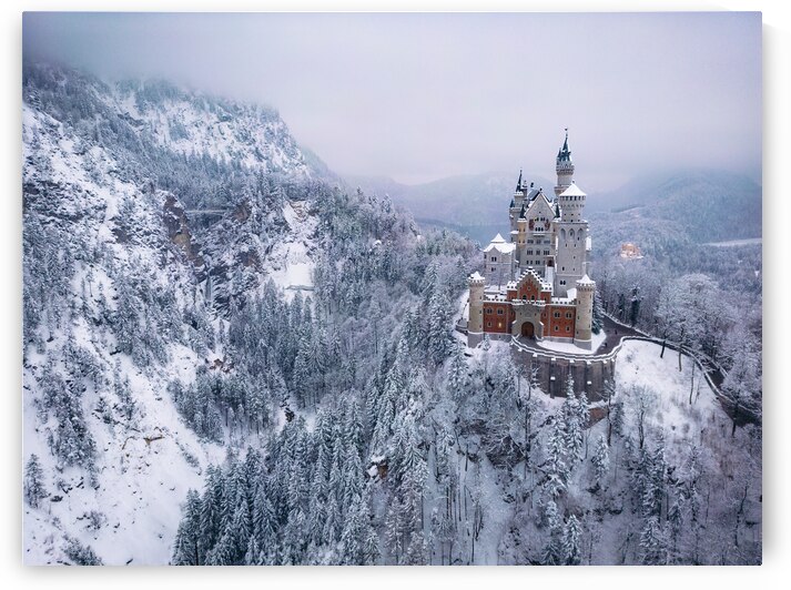 Castle Neuschwanstein in the Snow by Andreas Wonisch