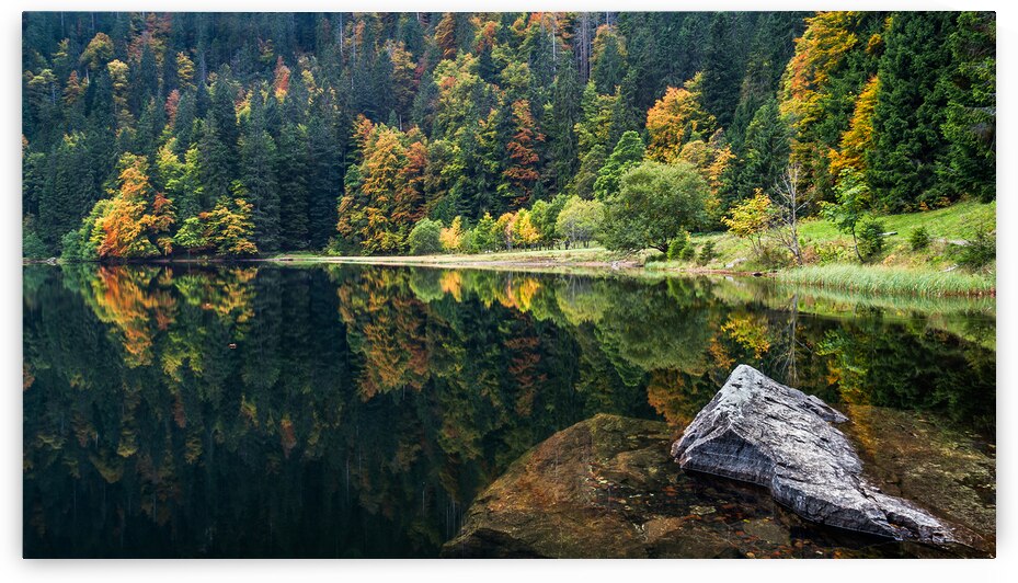 Fall Colors at a Lake in the Black Forest by Andreas Wonisch