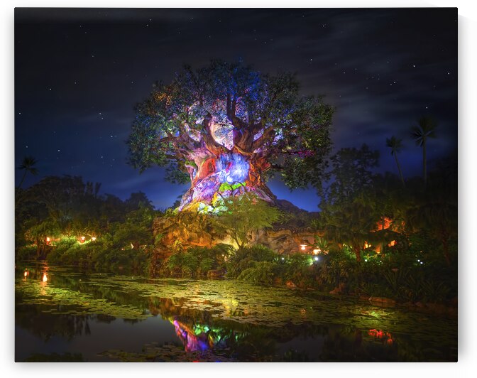 Tree of Life in Disneys Animal Kingdom by Visual Voyages Fine Art