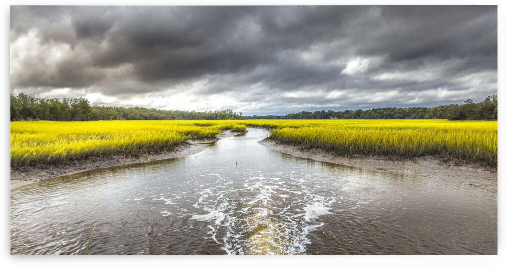 Broad River Plantation Marsh by Norma Brandsberg Photography