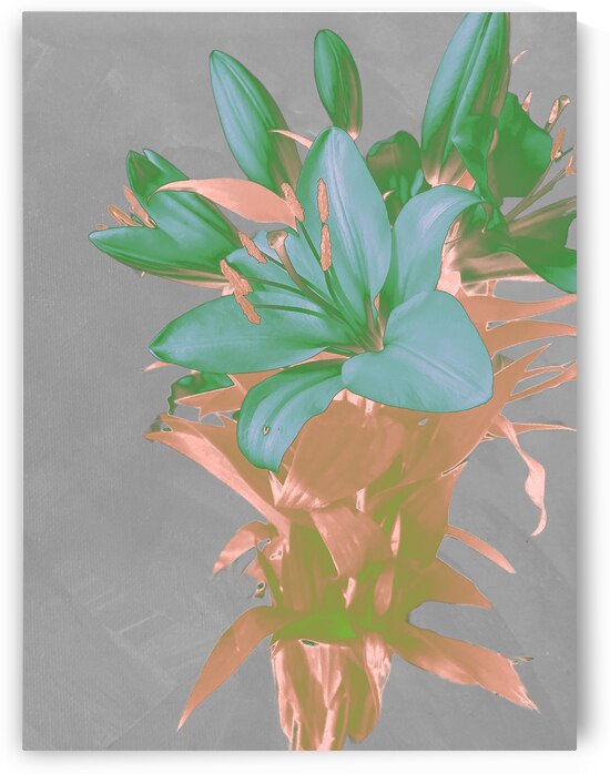  Abstract Lily Vase Bouquet by Catriona Roberts Nature Photography and Designs
