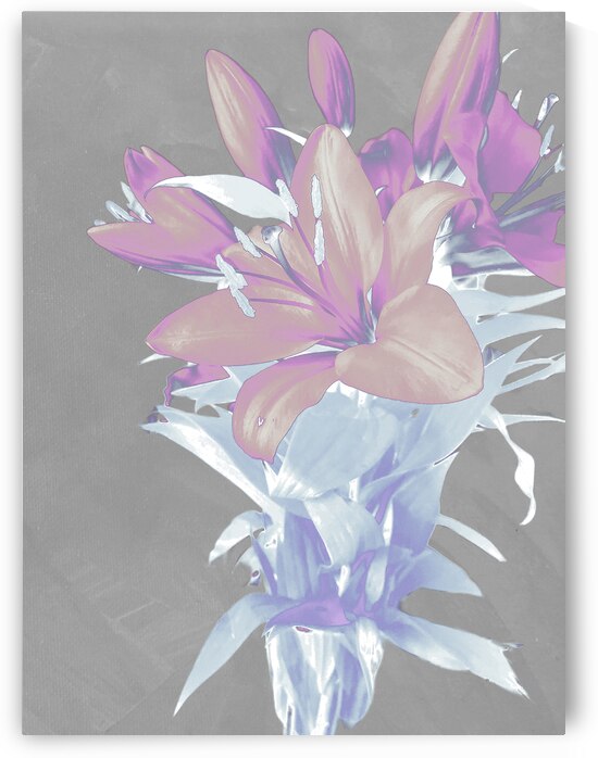 Abstract Pastel Lilies   by Catriona Roberts Nature Photography and Designs