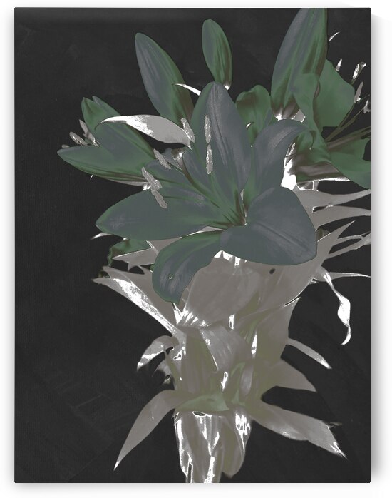 Abstract Green Lily Flower Bouquet by Catriona Roberts Nature Photography and Designs