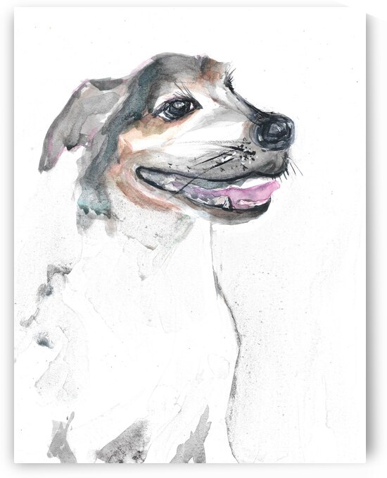 Jack Russell by Robert Burton