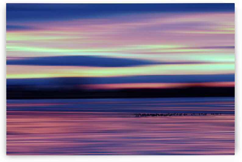 Good Morning Geese by Bo Insogna