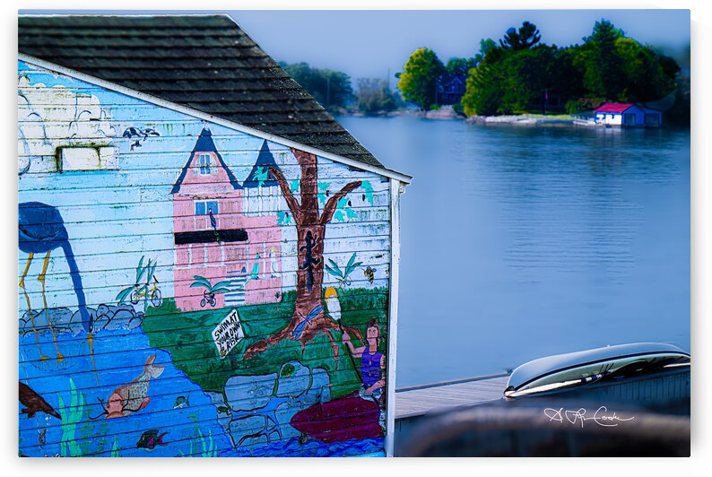 BZ9 1507 Enhanced NR 2 by Susan Lynn Cooke