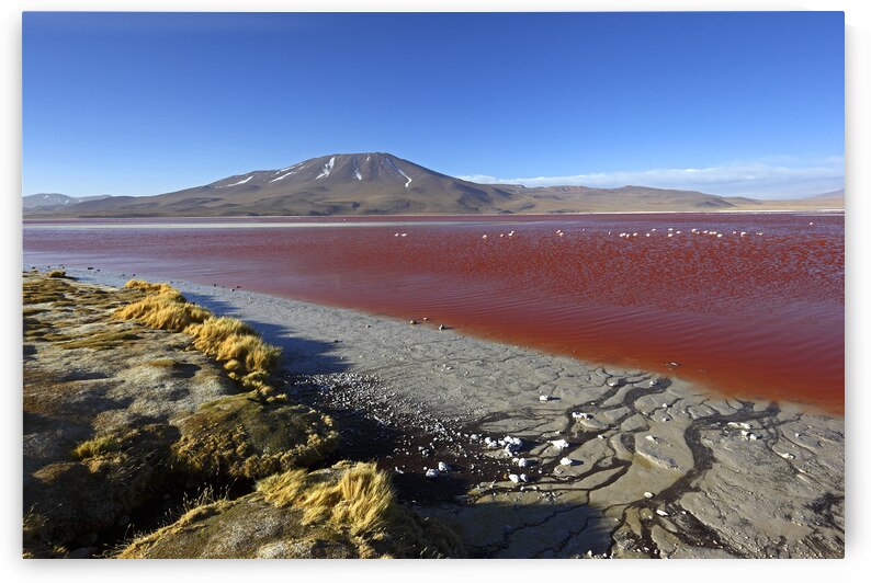 Laguna Colorada views Eduardo Avaroa Reserve Bolivia by Magical Andes Photography
