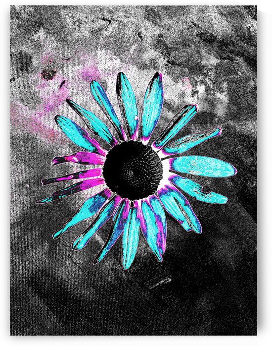 Abstract Neon Blue Daisy by Catriona Roberts Nature Photography and Designs