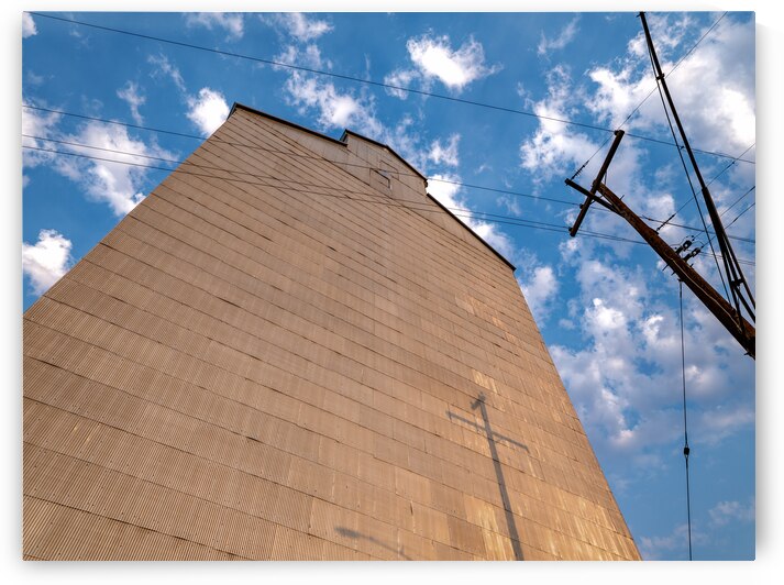 Power poles cast shadows on the corrugated metal wall of an old grain elevator in the early morning by David Reinhold