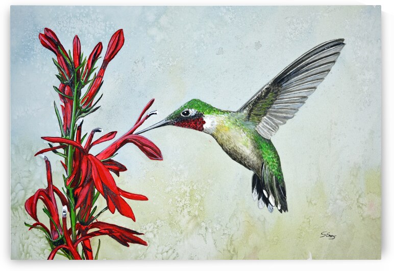 Ruby-Throated Hummingbird Painting 112 by Stephen Emms