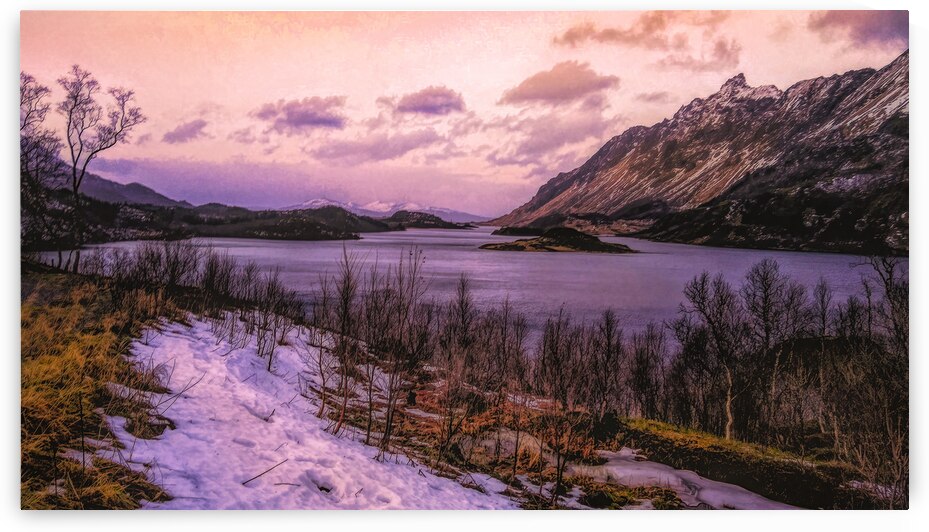 Lofoten Islands Coastal Road in January by Norma Brandsberg Photography