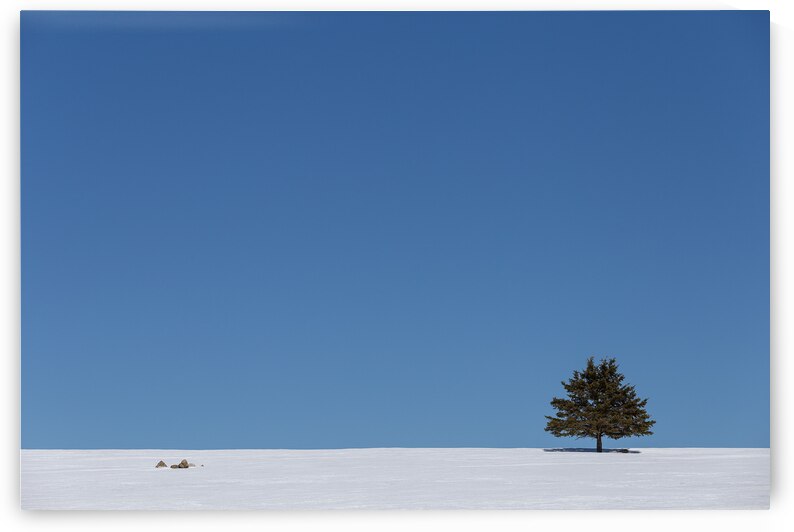 Winter by Olive Thibault