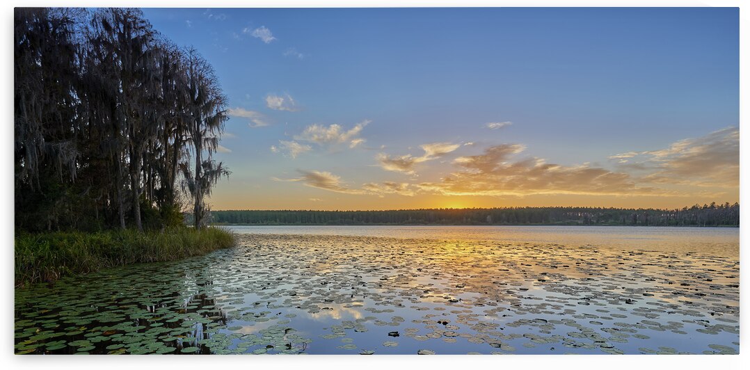 Dusk in Central Florida by Images By Jon Evan