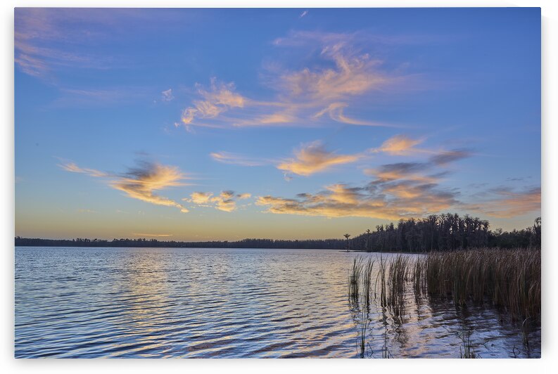 Dawn in Central Florida by Images By Jon Evan