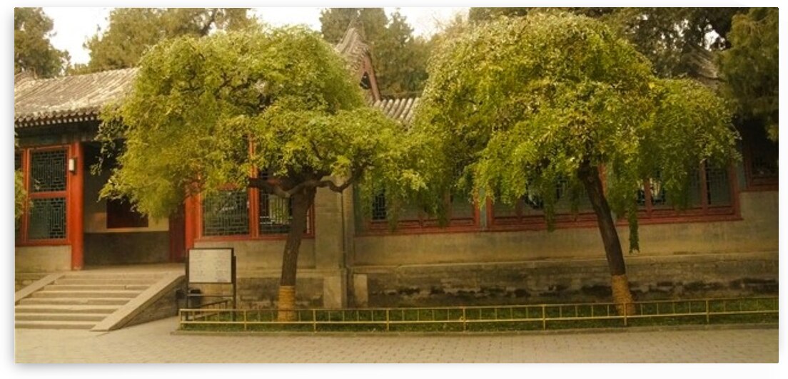 china34 by Mystic Muse