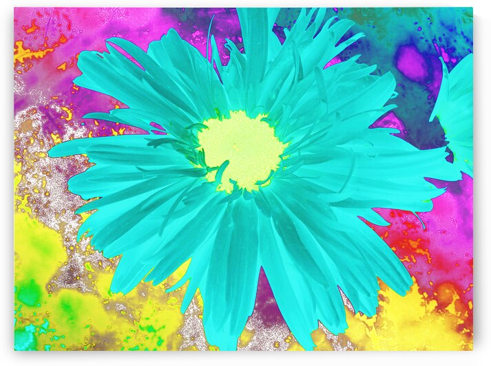 Abstract Surreal Cyan Daisy by Catriona Roberts Nature Photography and Designs