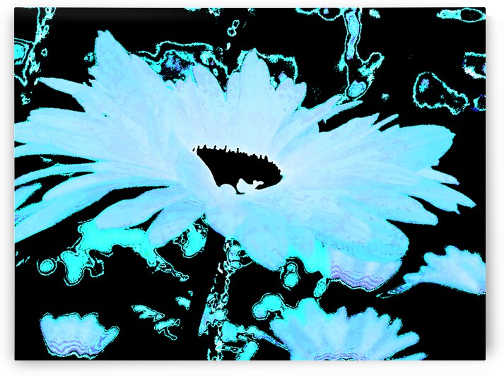 Abstract Daisy in Blue by Catriona Roberts Nature Photography and Designs