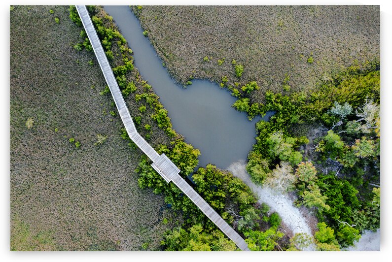 Marsh by Compass Studios