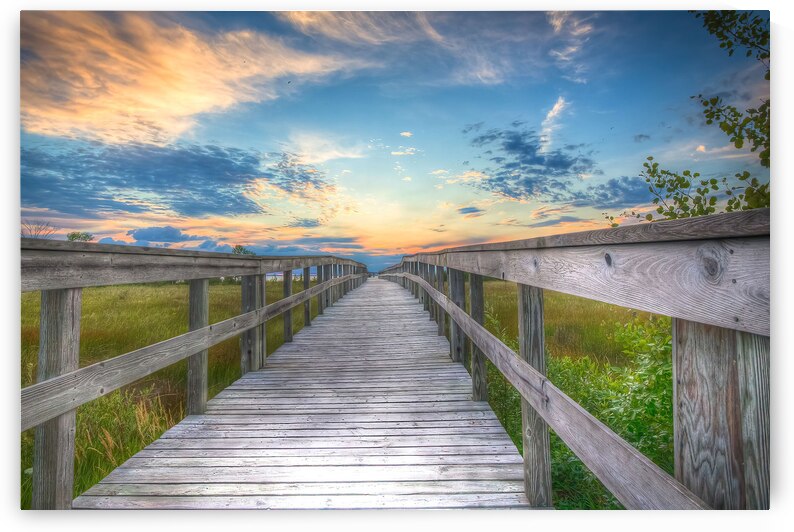 39 Pathway to Glory by Eden Remme Watt