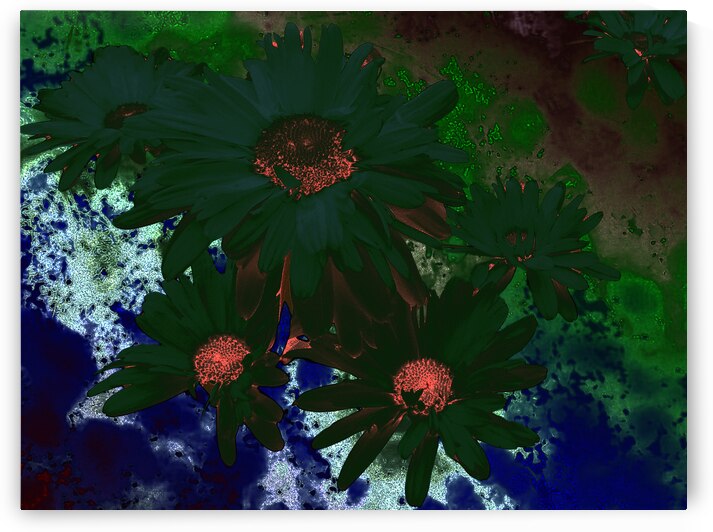 Abstract  Green Daises by Catriona Roberts Nature Photography and Designs