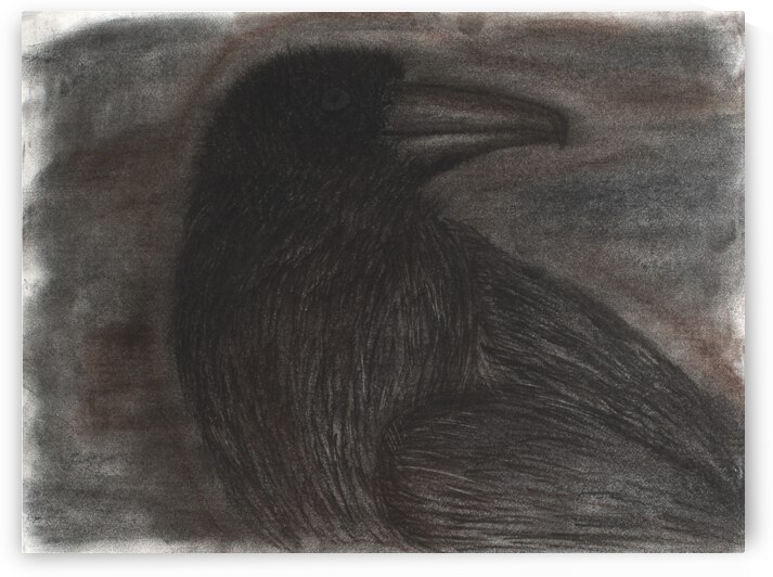 Black Bird 2 by Jon David