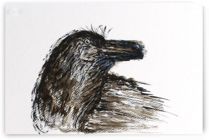 Black Bird by Jon David