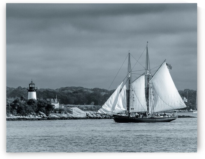 Harbor Cruise by Dave Therrien