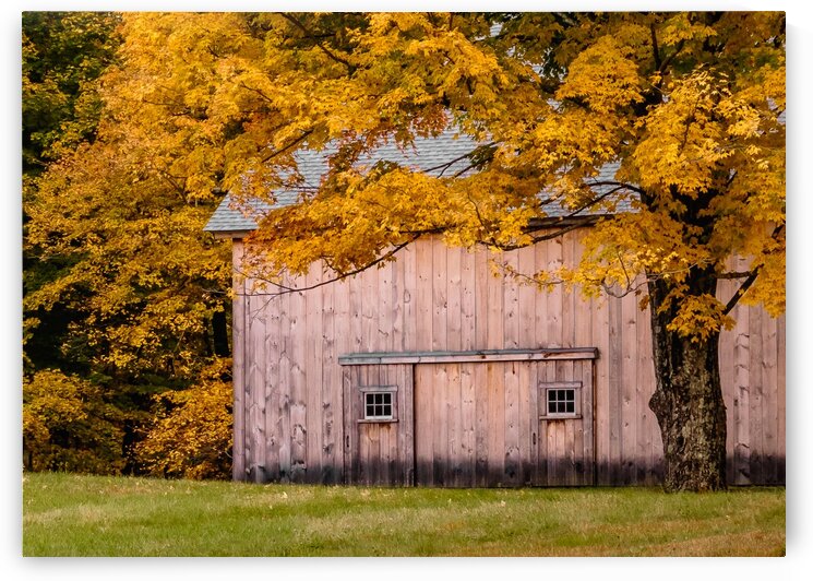 When Fall Comes to New England by Dave Therrien