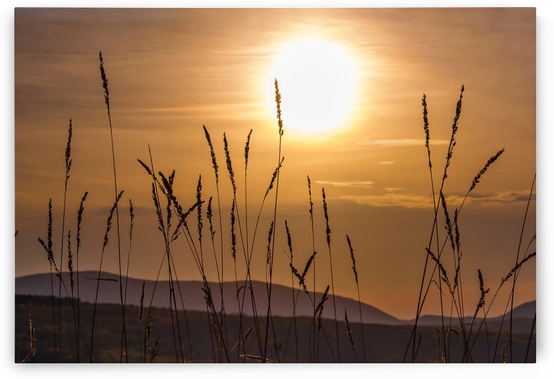 Colebrook Afternoon by Dave Therrien