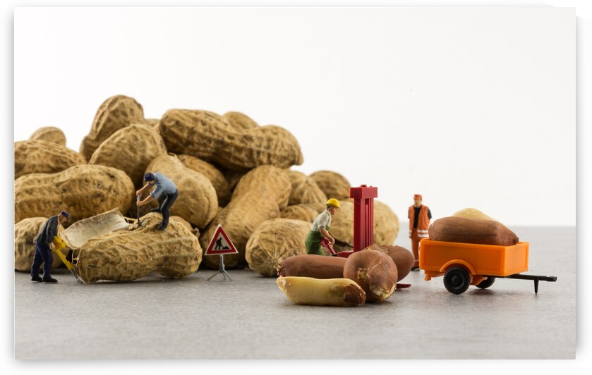 peanuts by Chris Willemsen